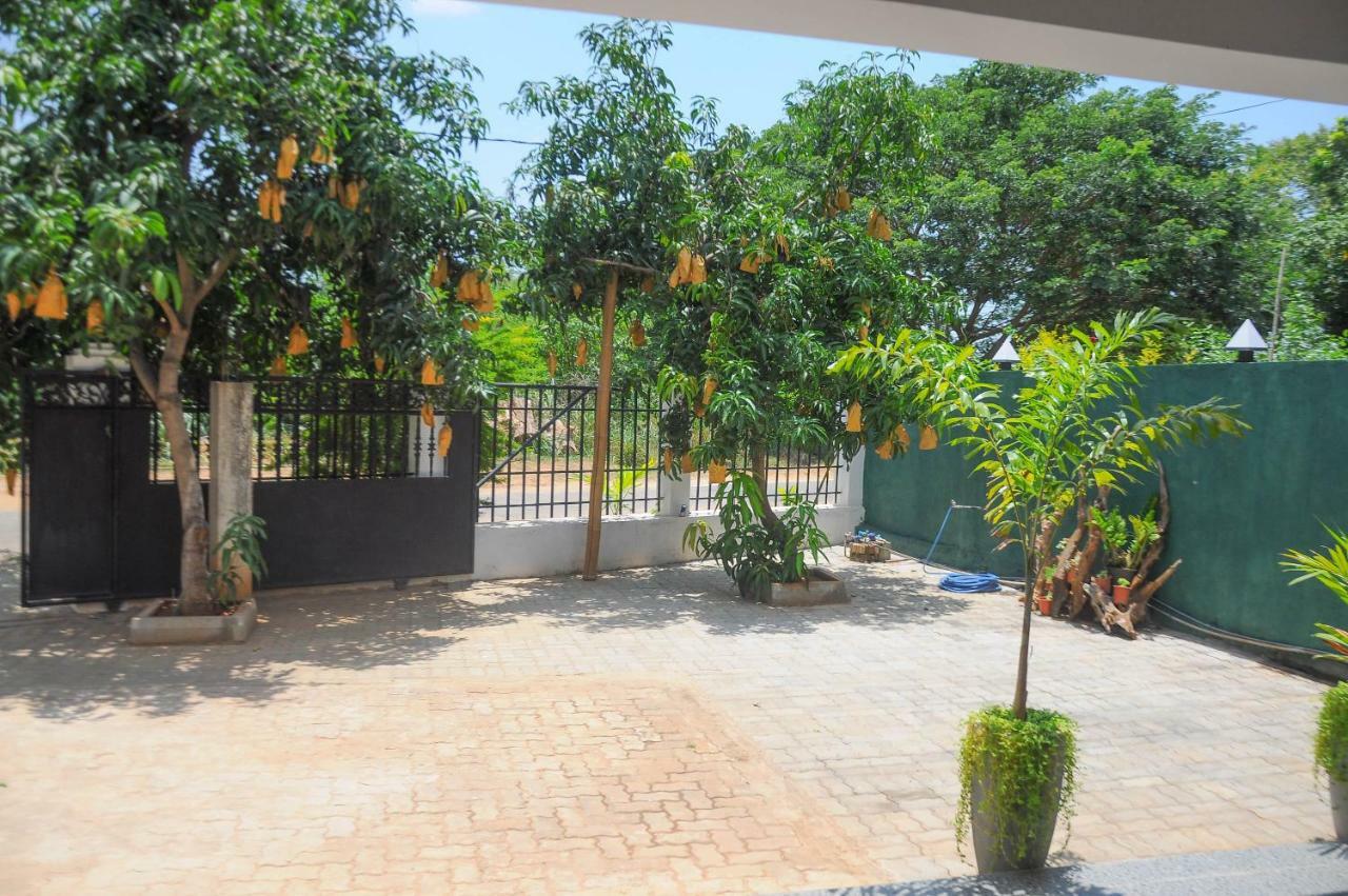 Restwell Homestay Дамбулла Екстер'єр фото